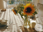 Słoneczniki - Kwiaty - Sala Weselna Casello